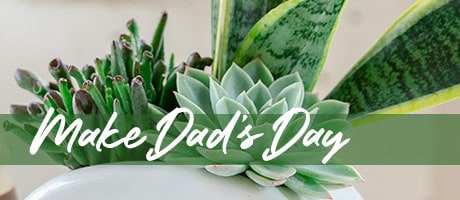 Send beautiful Father's Day Flowers - Father's Day Flowers Delivery