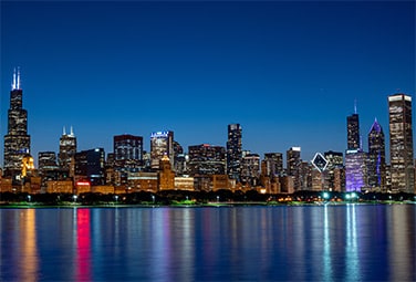 Best Chicago Florists