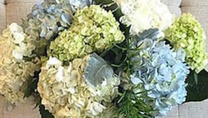 diy flowers made easy