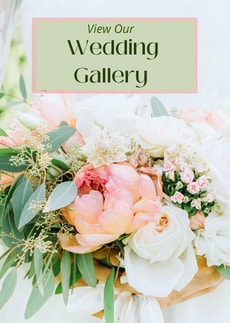 Wedding Gallery