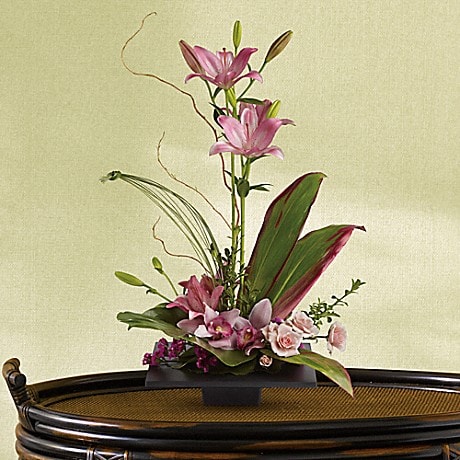 洋書　Flowers & Imagination Imagination Blooms with Cymbidium Orchids in WESTLAND MI