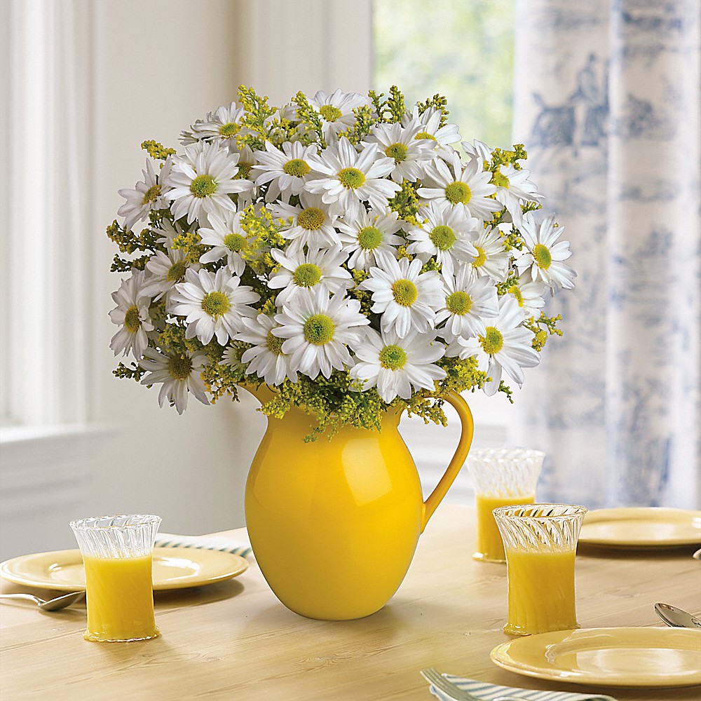 Teleflora's Sunny Day Pitcher of Daisies in Troy NC - Troy Flower
