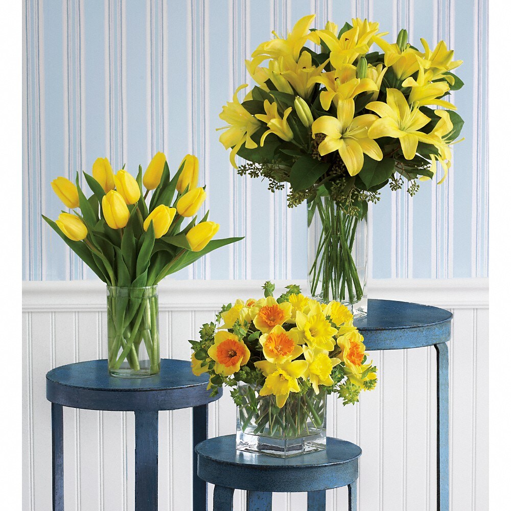 Lilly♡3/22 Longfield Gardens Lily Collections, 40-count | Costco
