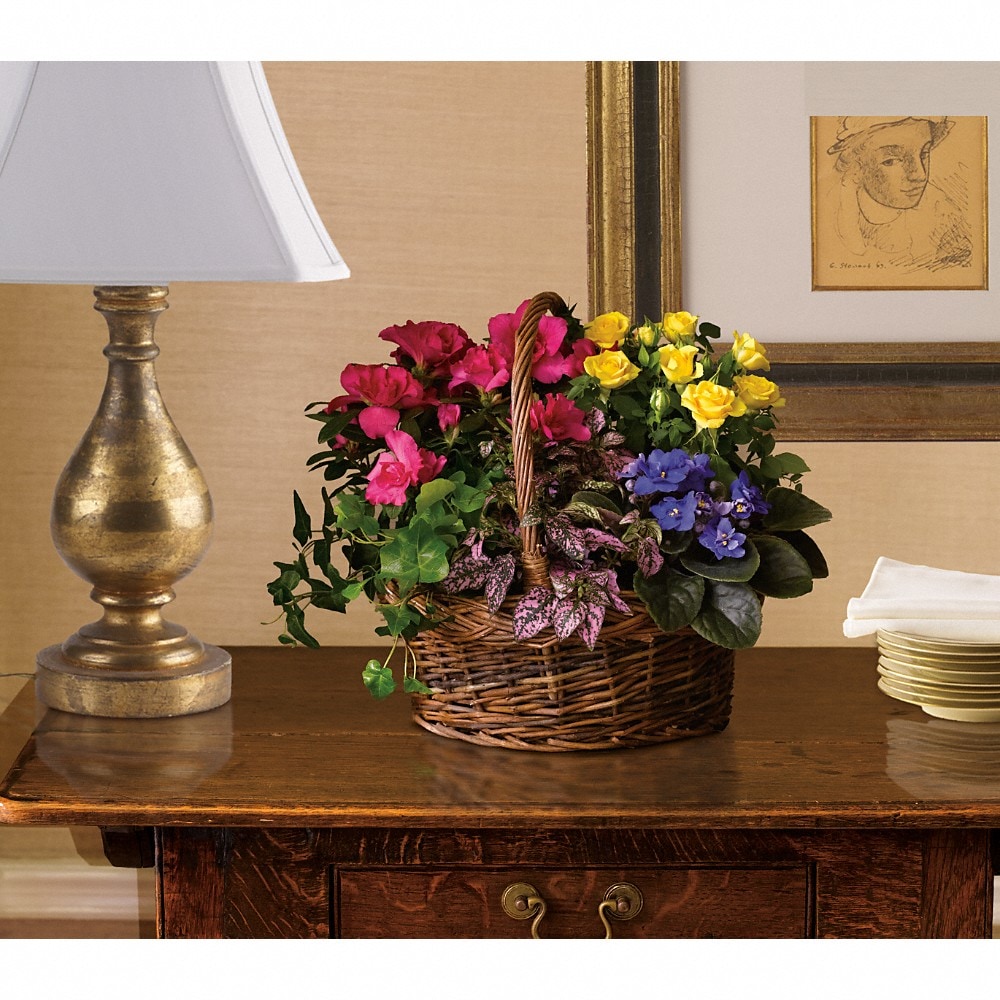 Blooming Garden Basket in Dodgeville WI - White Rose Florist