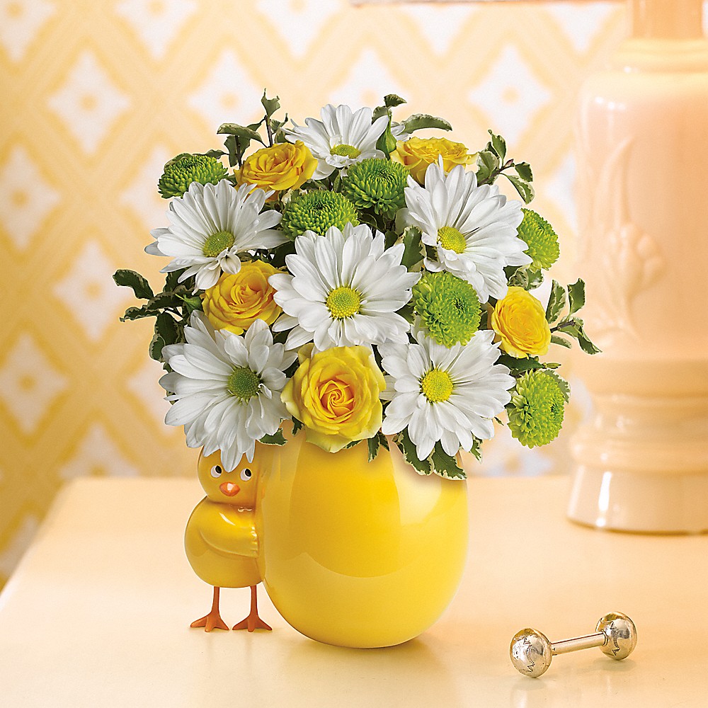 My Little Chickadee by Teleflora - T33-1 in Chicago IL - Soukal
