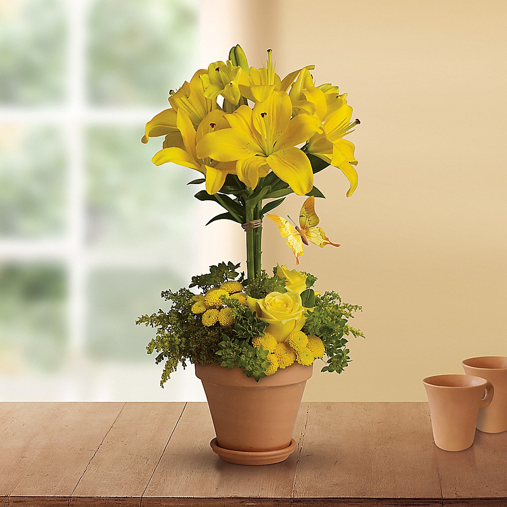 Yellow Fellow in Pittsburgh PA - Pete Donati & Sons, Inc.
