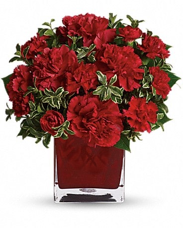 Teleflora's Precious Love - RED CARNATIONS Bouquet