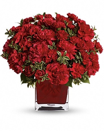 https://assets.eflorist.com/assets/products/PHR_/T05N431C.jpg