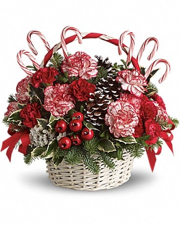 Candy Cane Christmas In Las Vegas Nv Esposito S Florist Llc