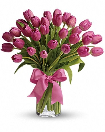 Precious Pink Tulips