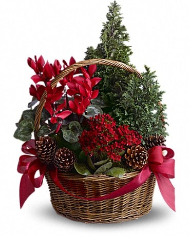 Tannenbaum Basket pour Terrebonne QC Fleuriste des Seigneurs