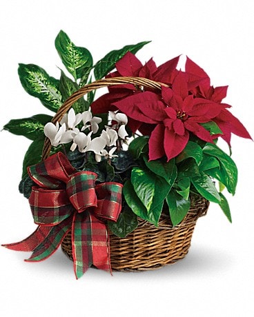 Holiday Homecoming Basket In Williamsburg Va Williamsburg Floral Gifts