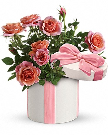 Teleflora's Rose Garden Plant