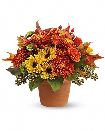 Teleflora's Warm Fall Wishes Bouquet - by Nelson Flowers