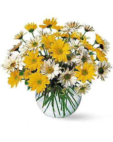 Dashing Daisies Bouquet