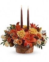 Deluxe size, 14 and a half inches height and 16 inches wide.