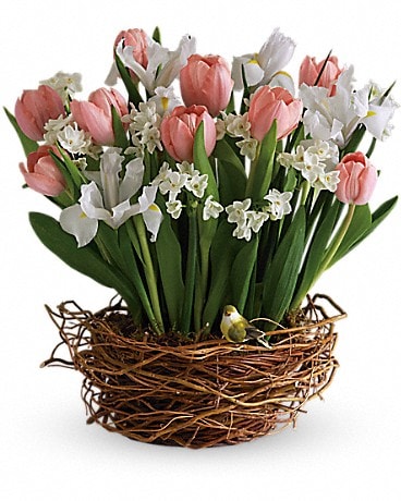 Tulip Song Basket Arrangement