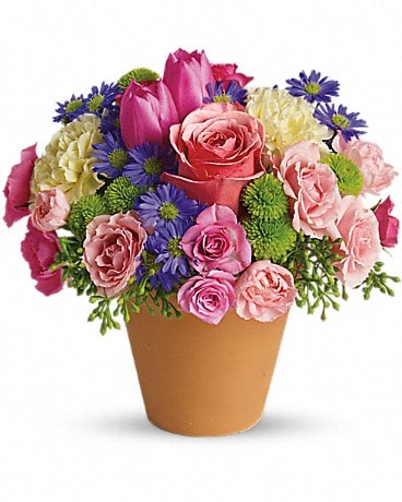 Benchmark Bouquets Signature Roses and Alstroemeria, India | Ubuy