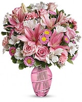 Premium size, 19 and a half inches height and 16 and a half inches wide.