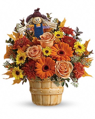 Teleflora's Harvest Cheer Bouquet Bouquet