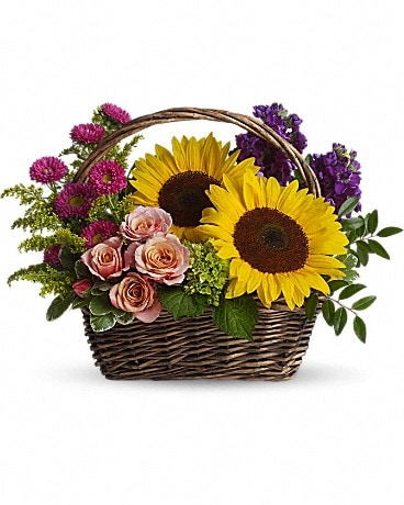 Picnic in the Park from Agnew Florist Basket Arrangement