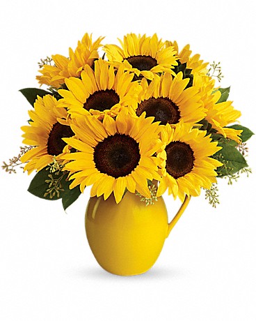 Sunny Day Pitcher of Sunflowers (T153-1A) in Chicago IL - Soukal