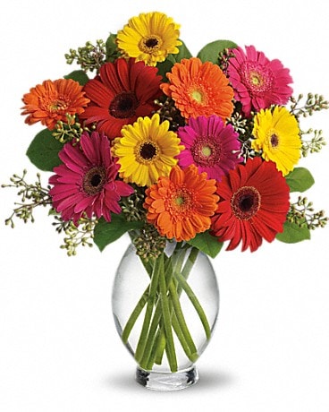 Teleflora's Gerbera Brights Bouquet