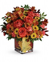 Deluxe size, 15 inches height and 15 inches wide.