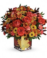 Premium size, 15 and a half inches height and 15 1/4 inches wide.