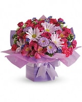 Deluxe size, 11 and a half inches height and 14 inches wide.