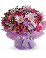 Premium size, 13 inches height and 14 inches wide.
