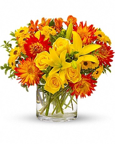 North Bergen Florist - Flower Delivery by Flowers of the Field