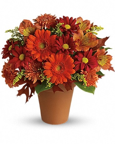 Teleflora's Simply Sublime Bouquet - Send to High Park, Sarnia, ON Today!