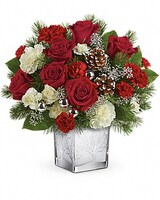 Premium size, 13 and a half inches height and 14 and a half inches wide.