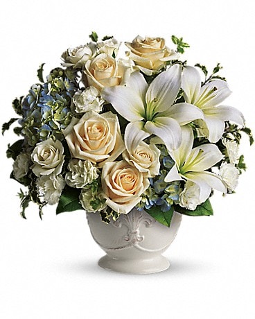 Teleflora's Daffodil Dreams in Erie PA - Allburn Florist