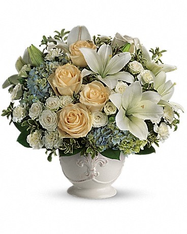 Teleflora's Daffodil Dreams in Erie PA - Allburn Florist