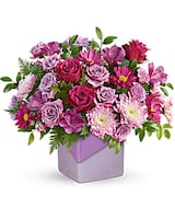 Deluxe size, 12 and a half inches height and 15 inches wide.