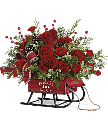 Christmas flowers by clearance mail