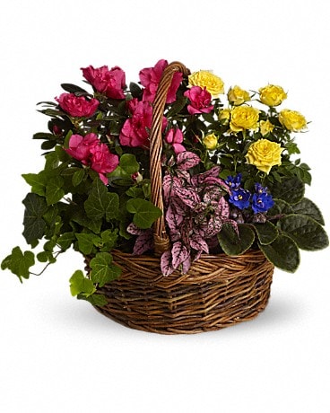 Blooming Garden Basket In Mount Jackson Va Main Street Flowers Gifts