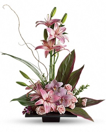 Imagination Blooms with Cymbidium Orchids