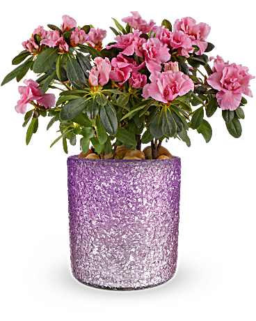 Teleflora's Vintage Gold Centerpiece in Chicago IL - Soukal