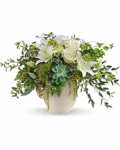 Simply Elegant Spathiphyllum - Medium(T105-2A) in Chicago IL