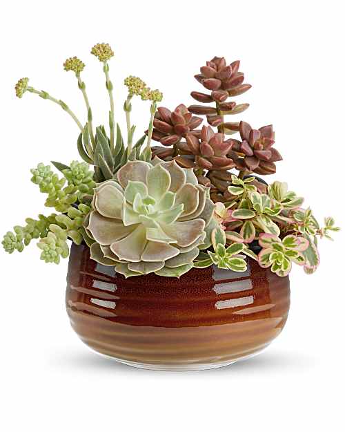 Livonia Florist - Flower Delivery by Cardwell Florist