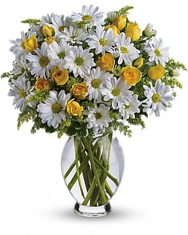 Grow Shasta Daisies for Cheerful Bouquets