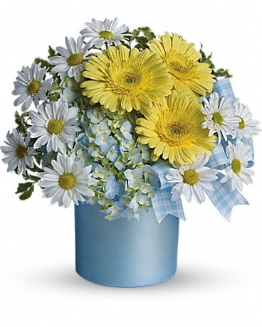 Teleflora's Once Upon a Daisy Bouquet