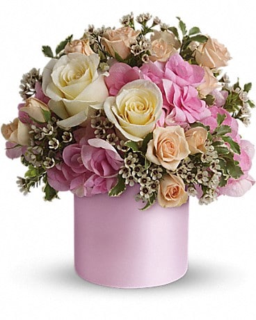 Teleflora's Blushing Beauty