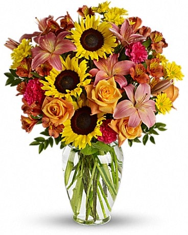 Autumn Fields Sunflower and Gourds- Walnut - 784626484283