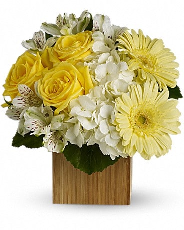 Teleflora's Pure Bliss Flower Arrangement