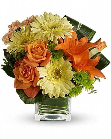 Teleflora's Citrus Crush Flower Arrangement