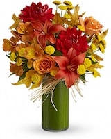 Standard size, 16 and a half inches height and 13 and a half inches wide.